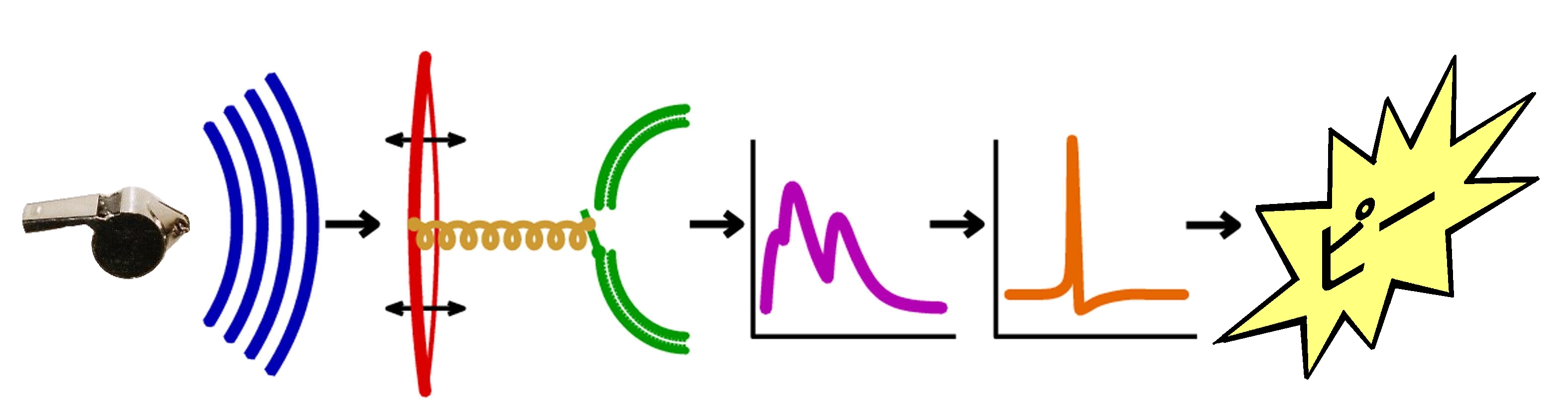 Qualia of Sound
